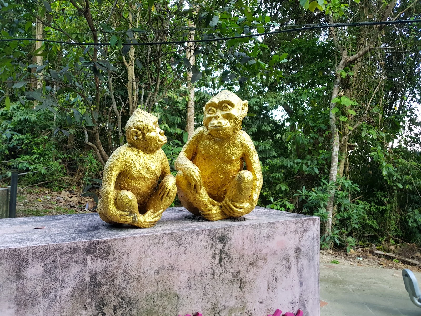 Pho Ta Toh Sae Shrine: две золотые скульптуры обезьян среди деревьев