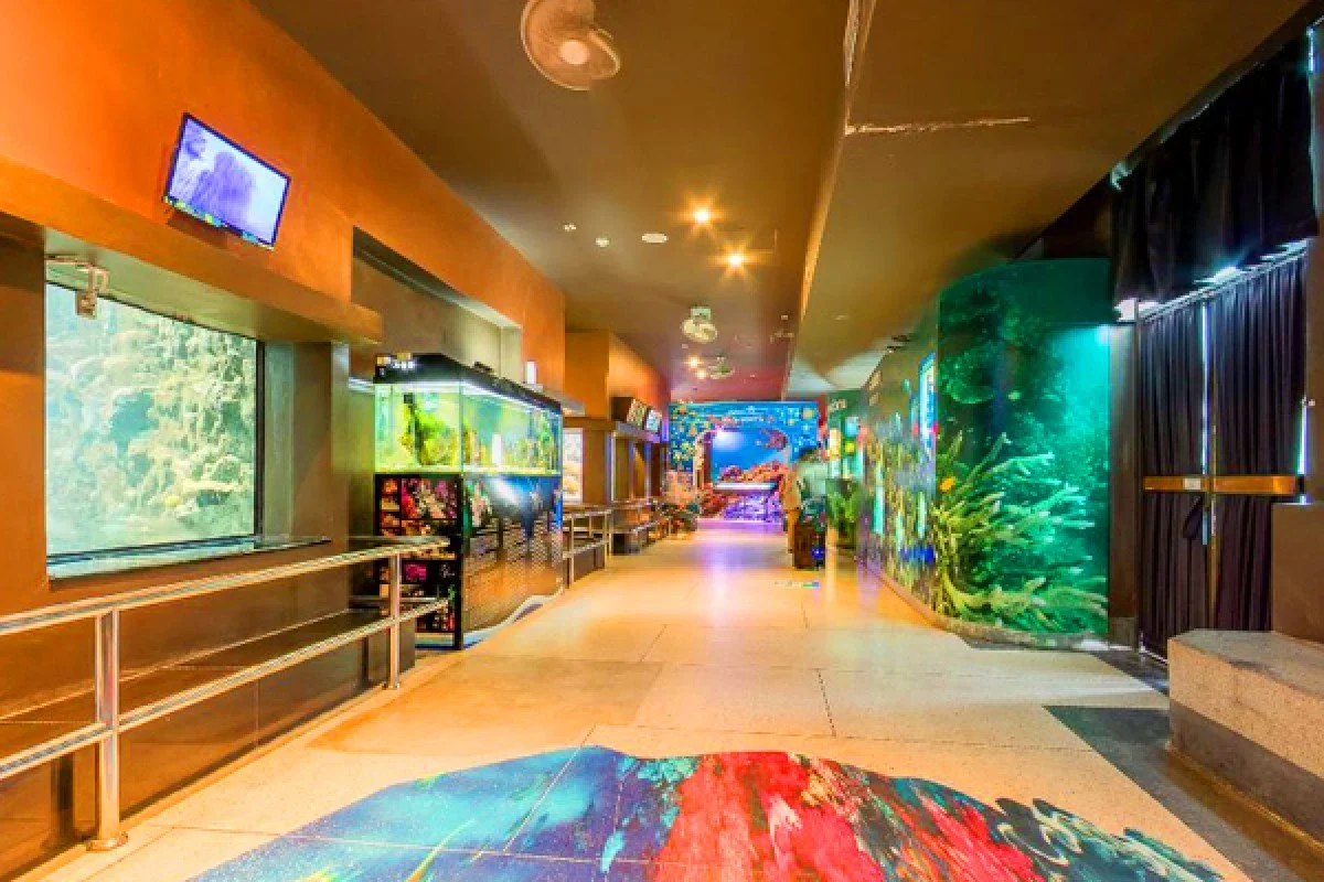 Зал Phuket Aquarium с отдельными аквариумами вдоль прохода
