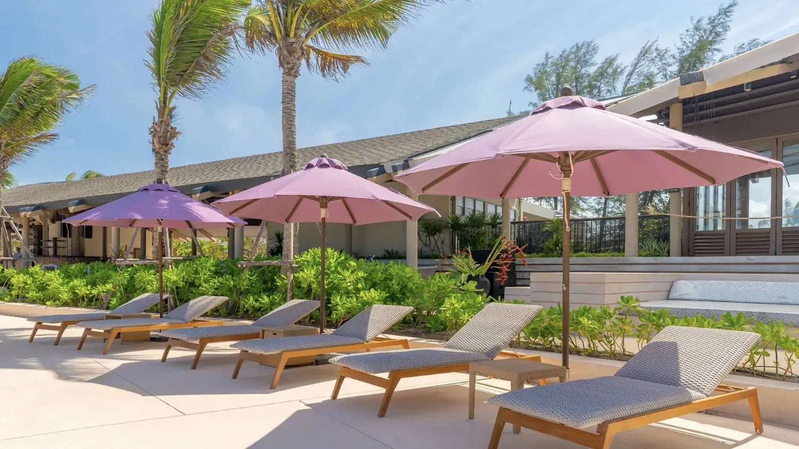 Шезлонги RAVA Beach Club под розовыми зонтиками рядом с ресторанным павильоном