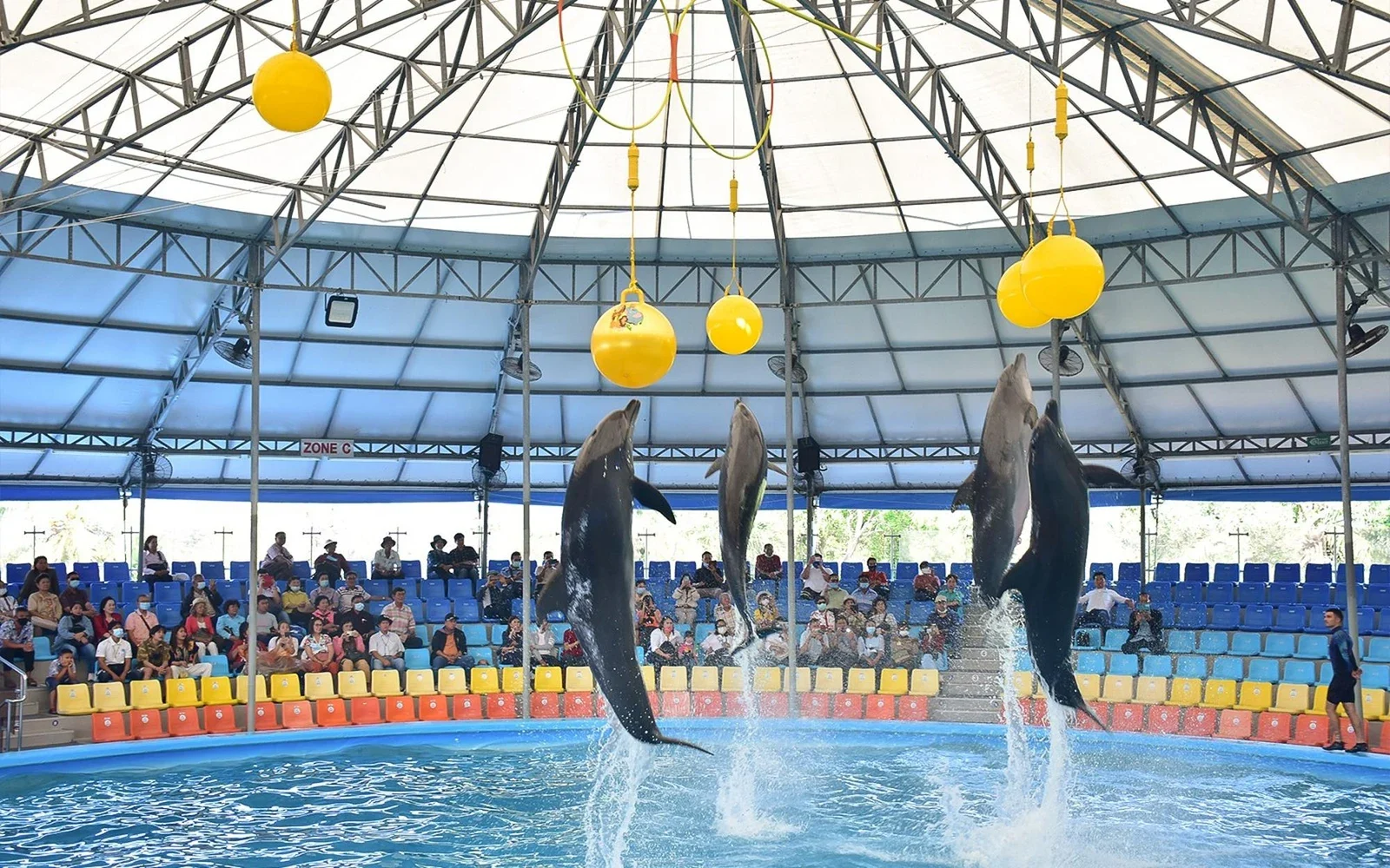 Дельфины прыгают из воды под подвешенными мячами на шоу в дельфинарии Dolphins Bay, зрители на трибунах