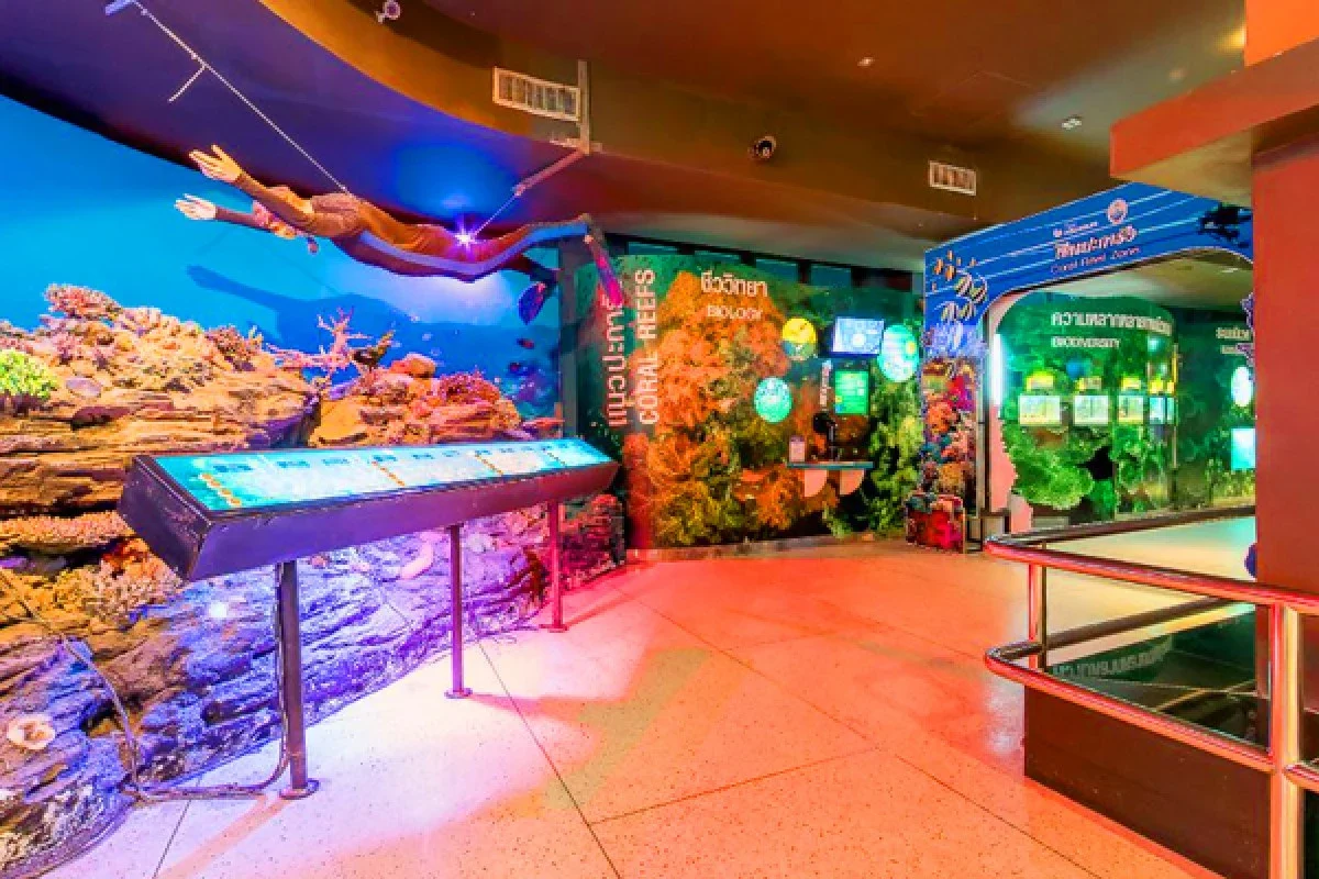 Витрины и стенды о кораллах в Phuket Aquarium