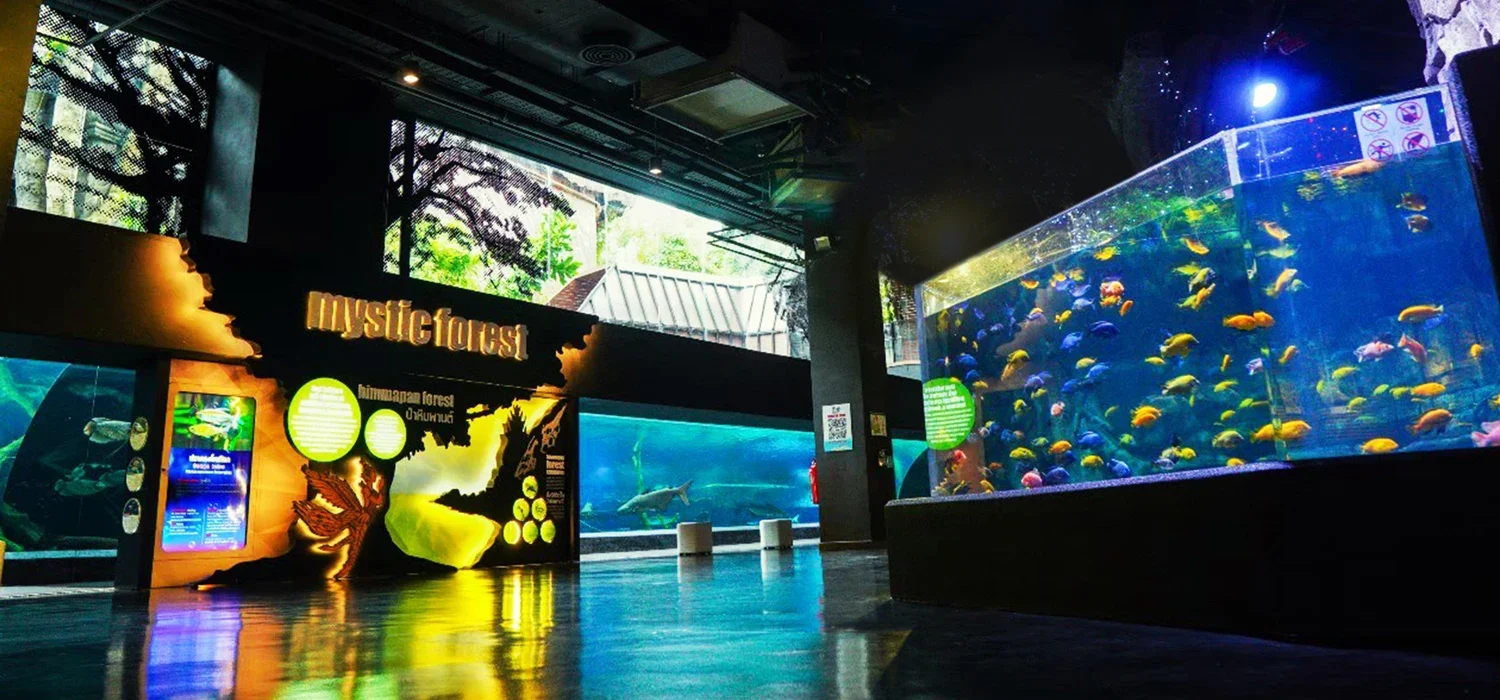Вывеска Mystic Forest и резервуары с пресноводными рыбами в Aquaria