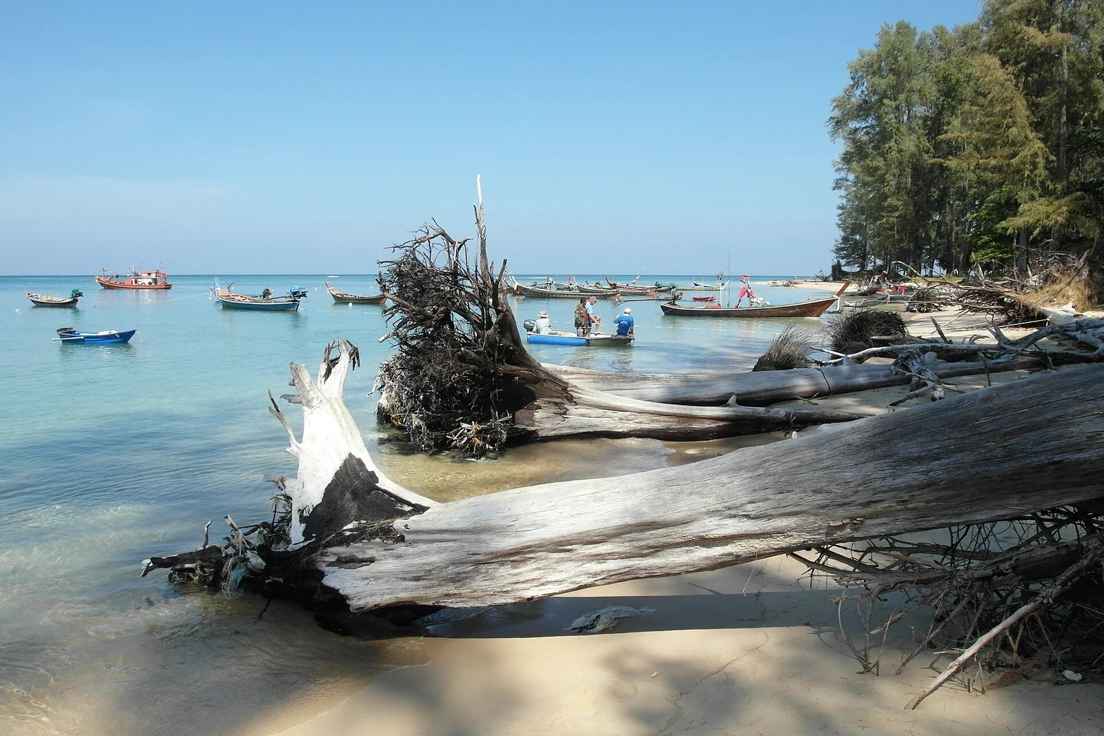 Коряги на песчаном берегу Най Янг, рыбачьи лодки на спокойной воде, зелёный лес справа