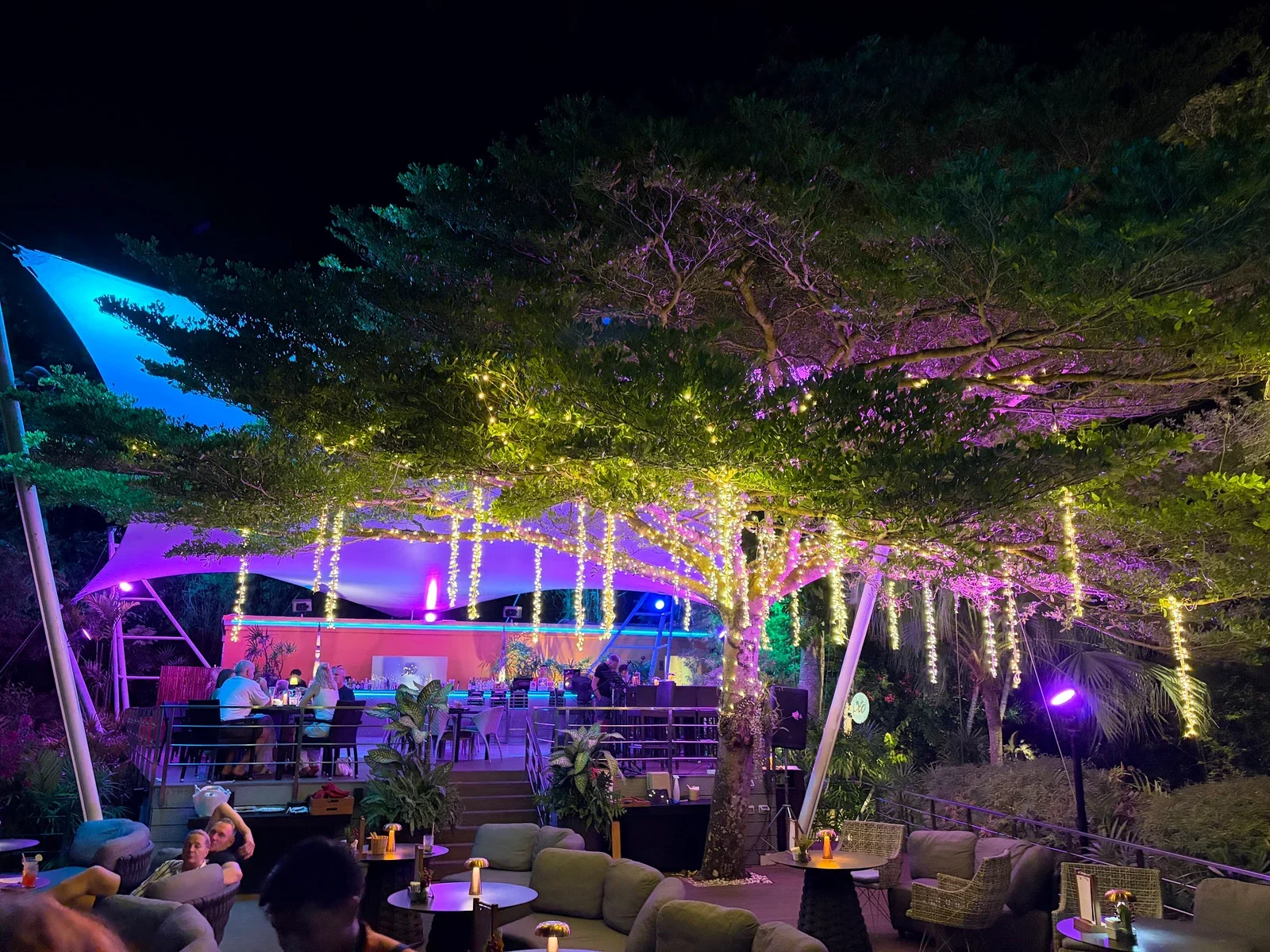 Вечерний 360° Bar: дерево в гирляндах, подсвеченный тент над стойкой, диваны и гости на террасе