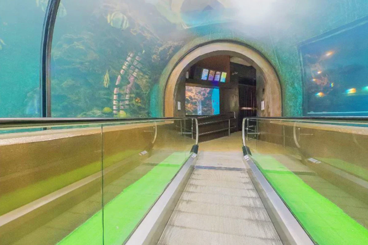 Стеклянный туннель с перилами в Phuket Aquarium